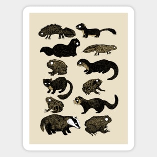 British Wildlife Illustrations Magnet